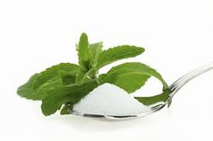 stevia1