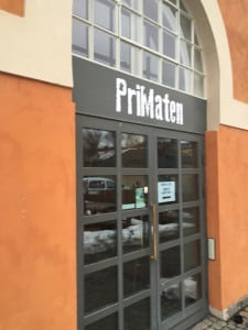 exteriör primaten