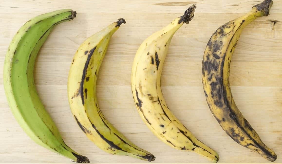 Kokbanan – nyttigt och gott till matlagning