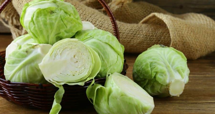 Vitkål och dess nytta