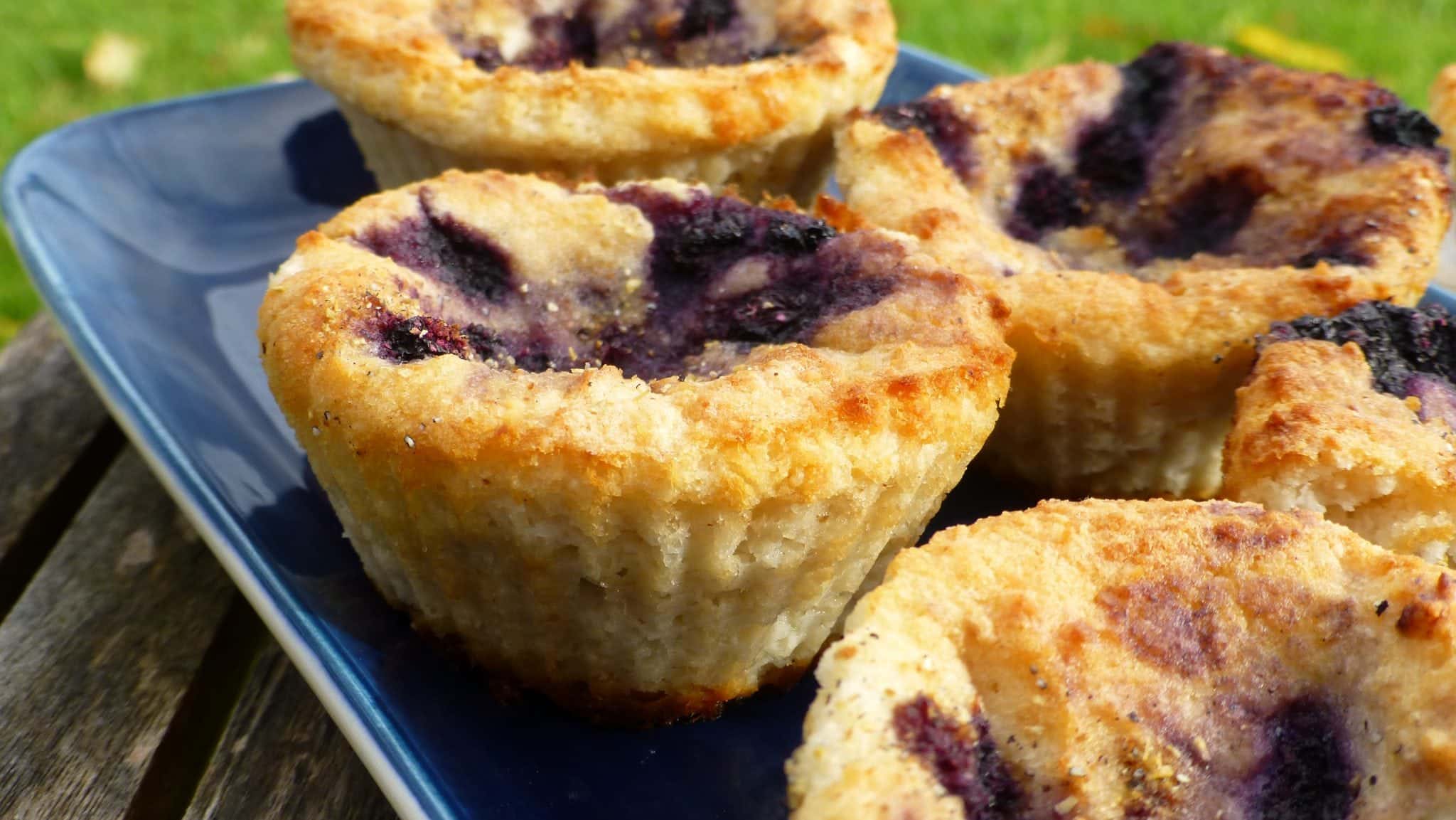 Blåbärsmuffins paleo Swedish Paleo