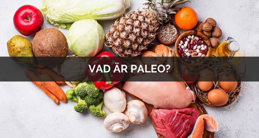 Paleokost – vad är det?