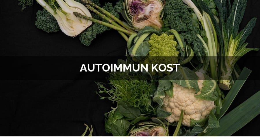 Autoimmun kost (AIP) – en guide kring kostupplägget