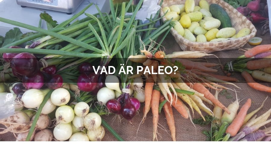vad är paleokost vad är paleokost