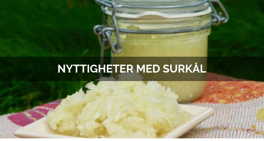 Läs mer om hur nyttigt surkål är och vilken påverkan det gör på din hälsa.