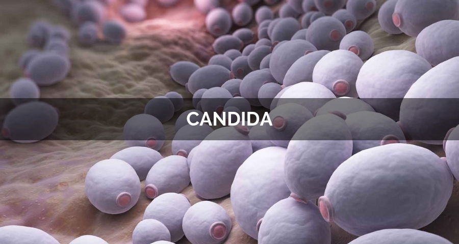 Candida Magen Behandling