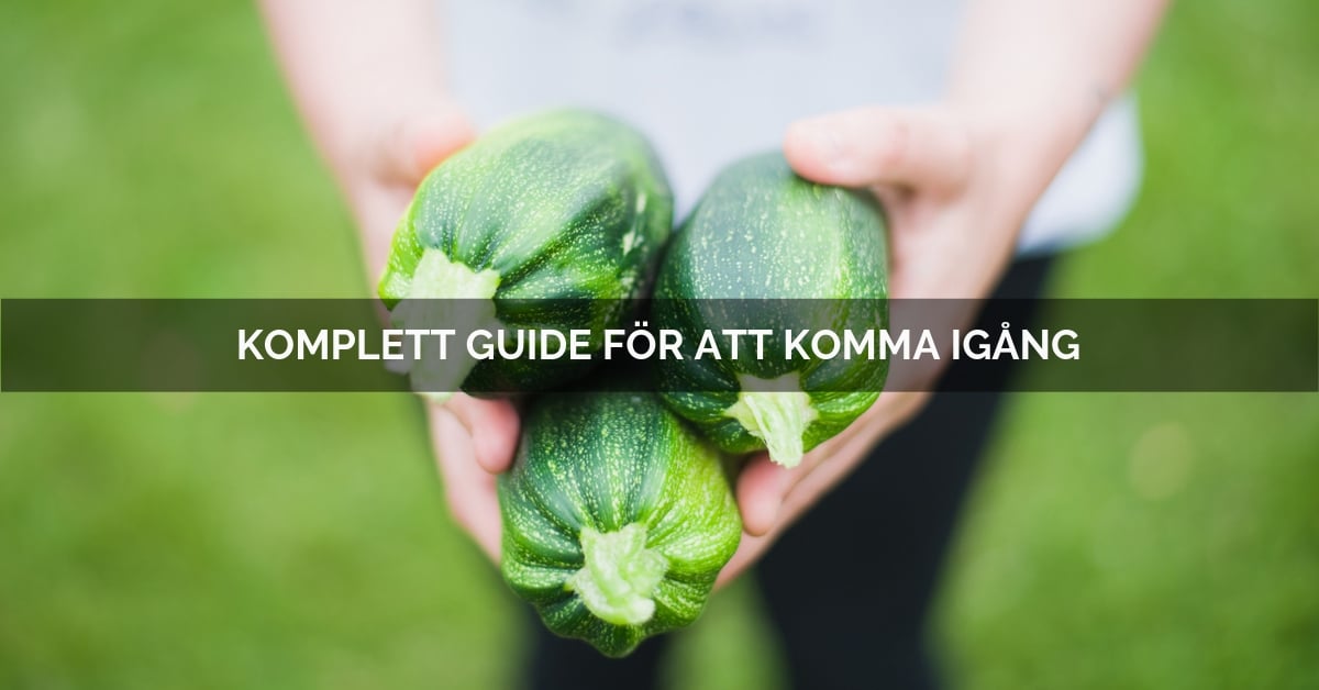 Den kompletta guiden till AIP och antiinflammatorisk kost