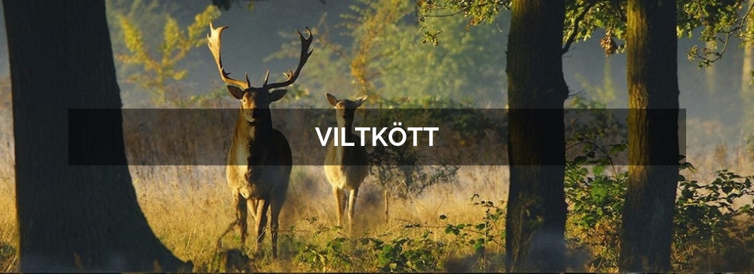 Viltkött – därför är det nyttigt