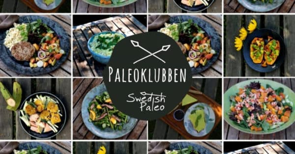 Medlem - AIP Kurs
