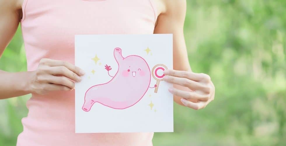 Probiotika och prebiotika – viktigt för vår hälsa