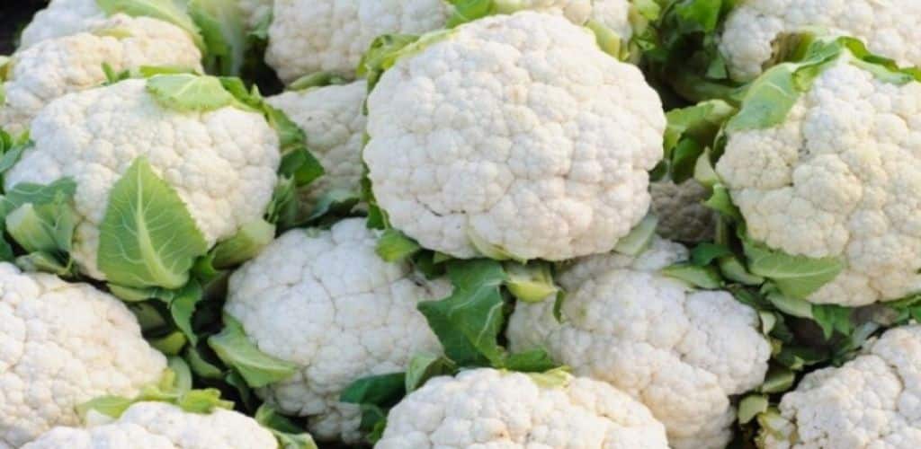 Blomkål – en av våra nyttigaste grönsaker