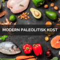 ModernPaleo (1)