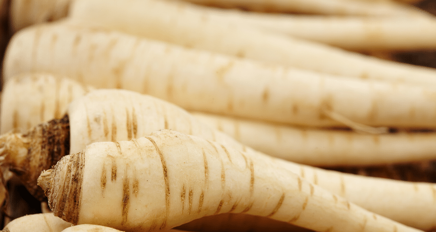 Fakta om palsternacka och dess nyttigheter