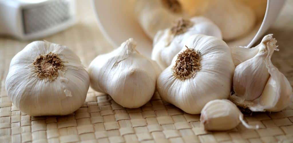 Därför bör du äta vitlök varje dag