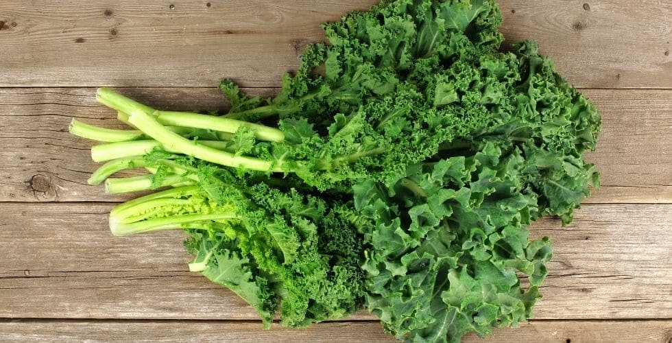 Grönkål – hur nyttigt är det egentligen?