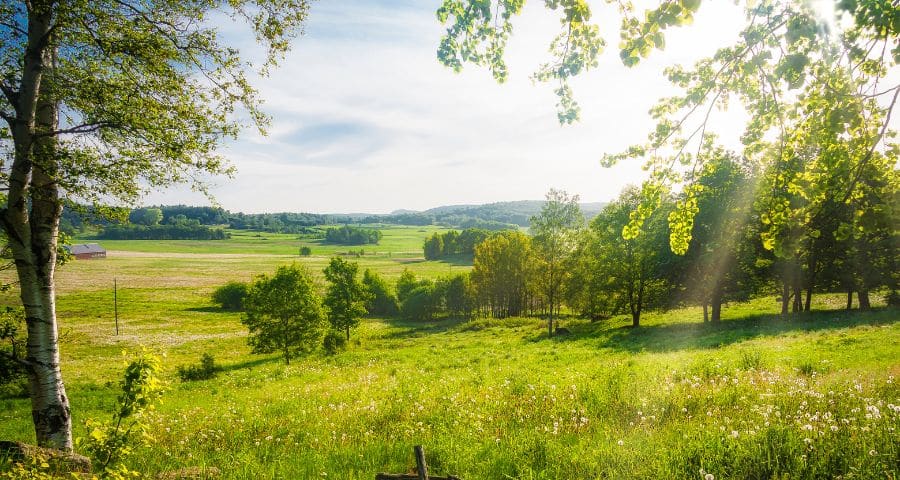 AIP under sommaren – bästa tiden att läka kroppen