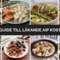 Guide till läkande AIP kost banner