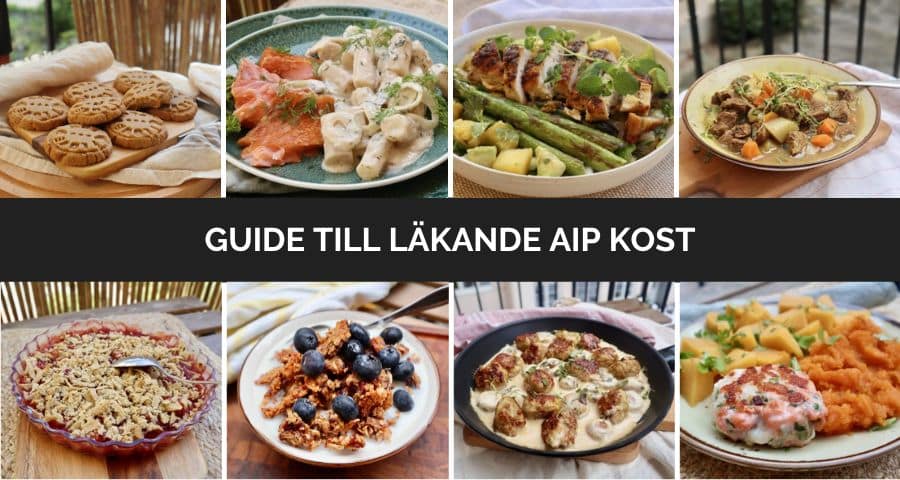 Guide till hur du börjar med läkande AIP-kost