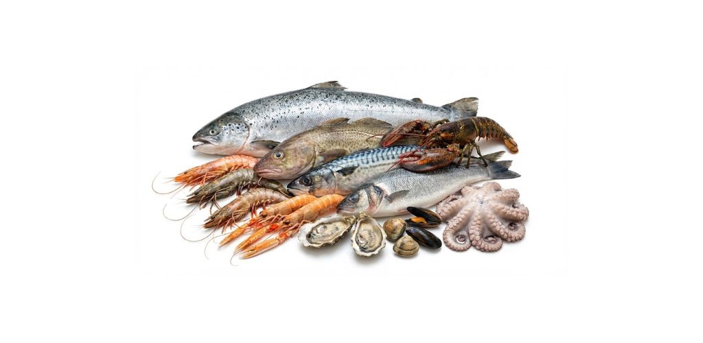 Fisk, räkor och skaldjur