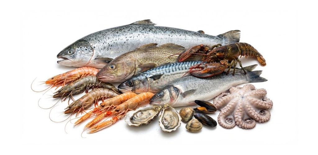 Fisk och skaldjur, vildfångad MSC