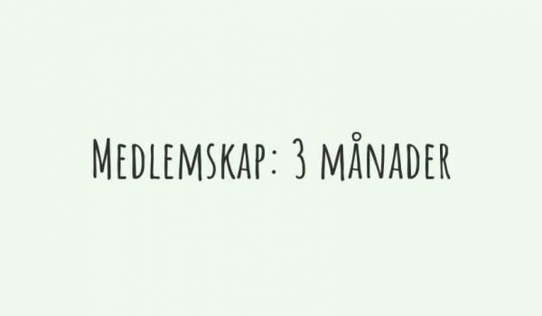 3 månader