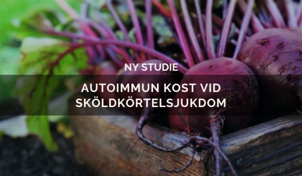 Autoimmun kost studie