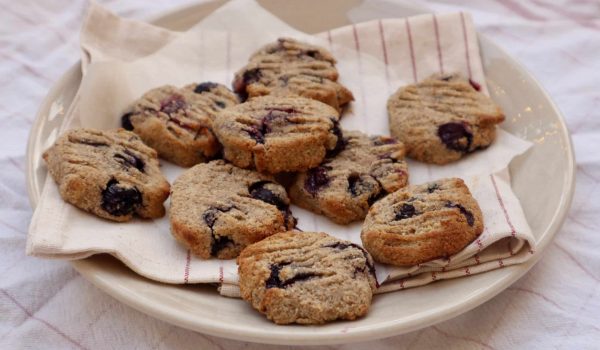 Blåbärskakor aip