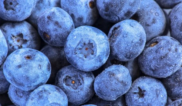 Blåbär innehåller antioxidanter och mycket vitamin c