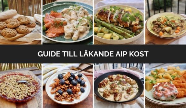 Guide till läkande AIP kost banner