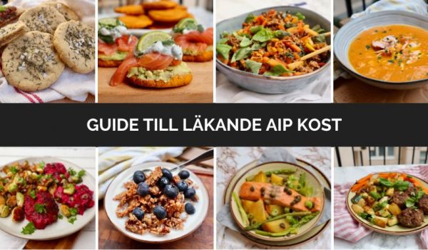 Guide till läkande AIP kost