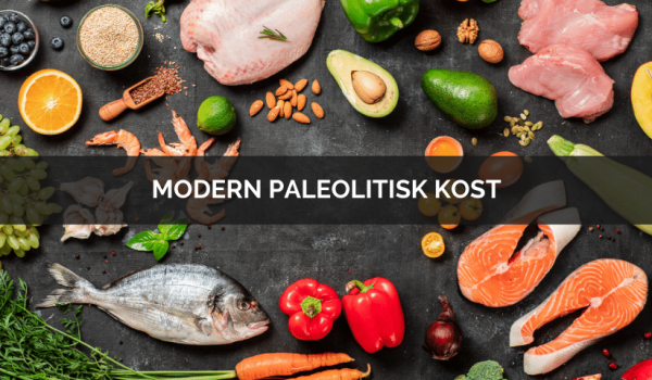 ModernPaleo (1)
