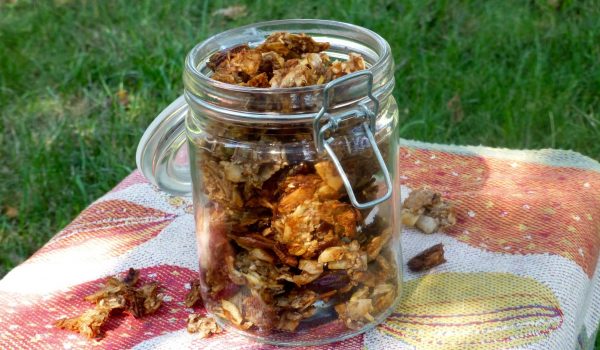 Granola med äpple och dadlar