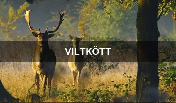 VILTKÖTT2