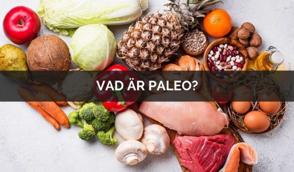 Vad är paleo kost