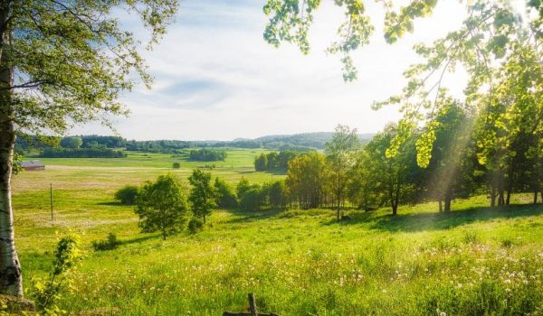 sommar swedish paleo banner